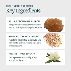 Scalp Remedy Shampoo